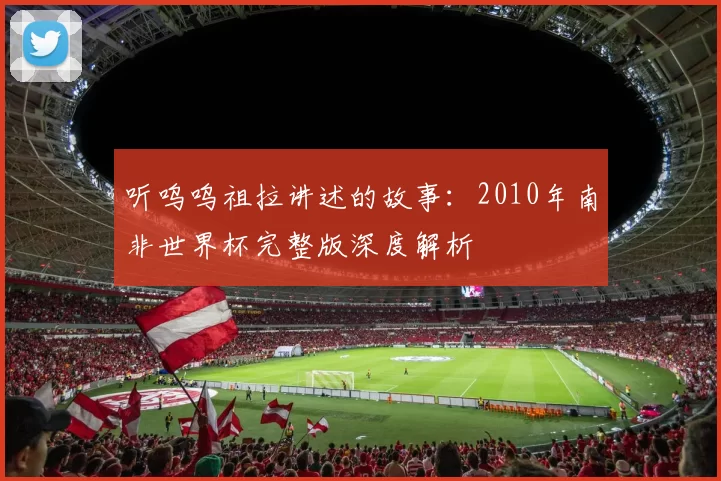 听呜呜祖拉讲述的故事：2010年南非世界杯完整版深度解析