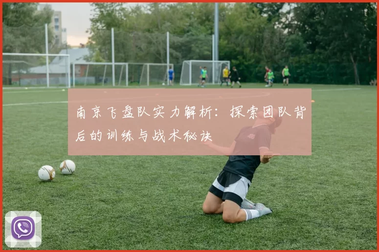 南京飞盘队实力解析：探索团队背后的训练与战术秘诀