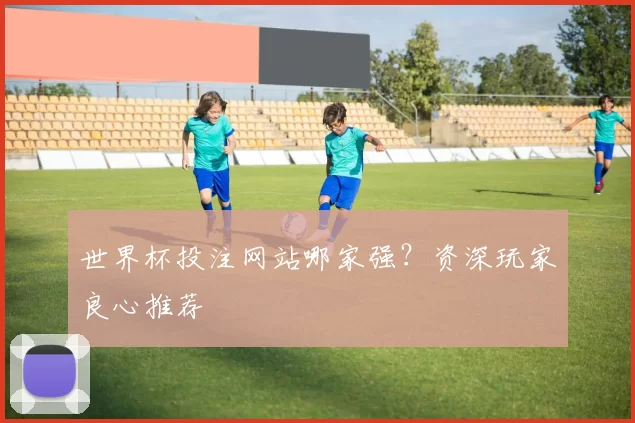 世界杯投注网站哪家强？资深玩家良心推荐