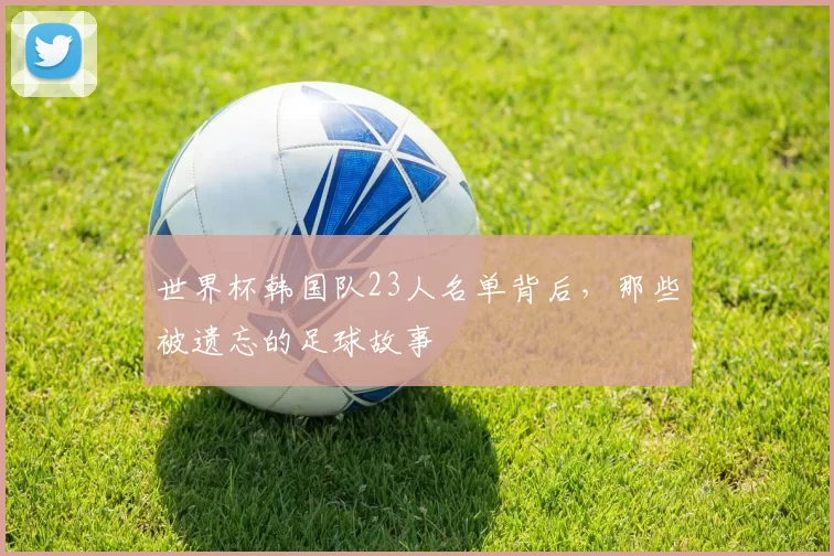 世界杯韩国队23人名单背后，那些被遗忘的足球故事
