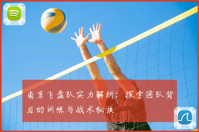 南京飞盘队实力解析：探索团队背后的训练与战术秘诀
