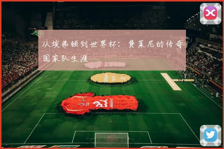 从埃弗顿到世界杯：费莱尼的传奇国家队生涯