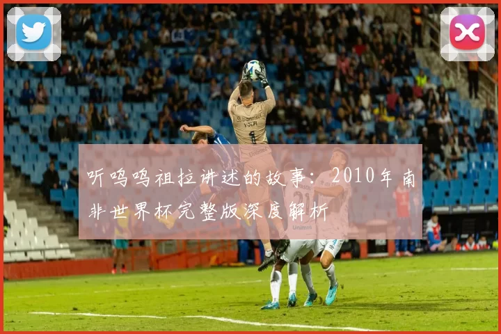 听呜呜祖拉讲述的故事:2010年南非世界杯完整版深度解析