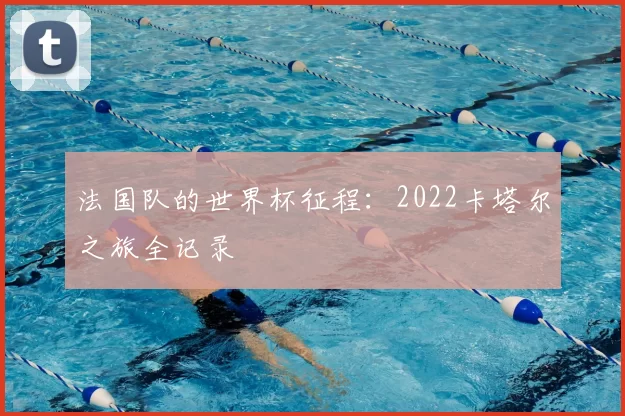 法国队的世界杯征程:2022卡塔尔之旅全记录