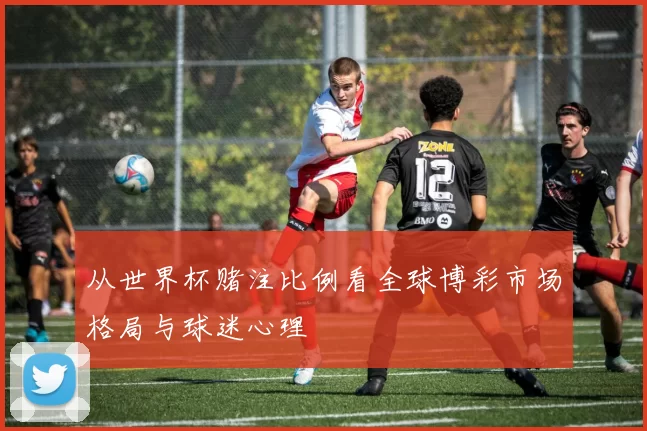 从世界杯赌注比例看全球博彩市场格局与球迷心理
