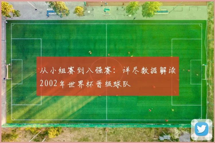 从小组赛到八强赛:详尽数据解读2002年世界杯晋级球队