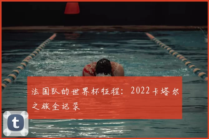 法国队的世界杯征程：2022卡塔尔之旅全记录